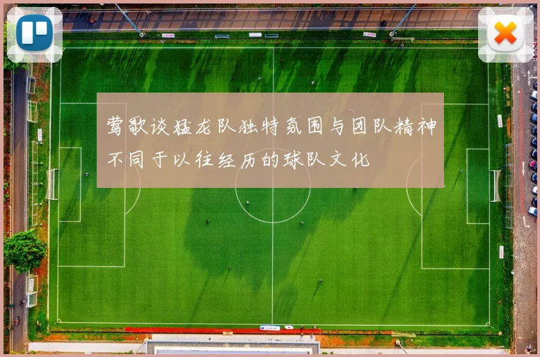 莺歌谈猛龙队独特氛围与团队精神不同于以往经历的球队文化