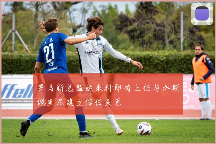 罗马新总监达米科即将上任与加斯佩里尼建立信任关系
