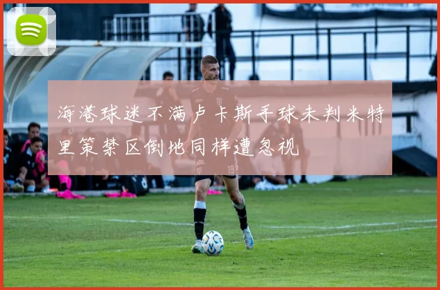 海港球迷不满卢卡斯手球未判米特里策禁区倒地同样遭忽视